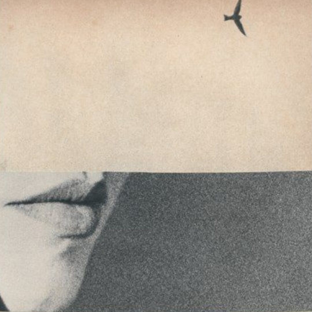 An Instagram carousel post added by innerbloom on Dec 19, 2023. The author is @inner_____bloom.