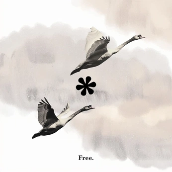 A cover of "Flow" cluster. The owner is surrealthing. The cluster consists of 1 element.