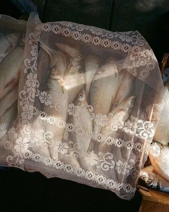 A cover of "my things" cluster. The owner is reemarchive. The cluster consists of 2 elements.