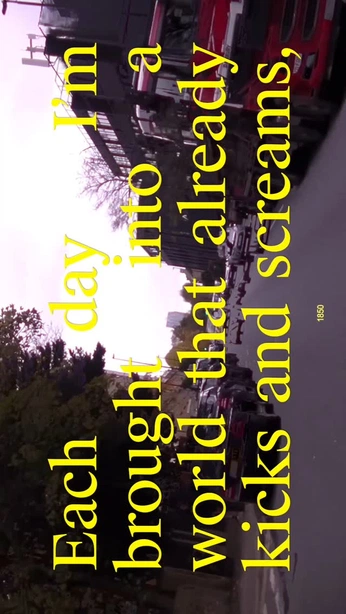 A cover of "Film" cluster. The owner is callen. The cluster consists of 28 elements.