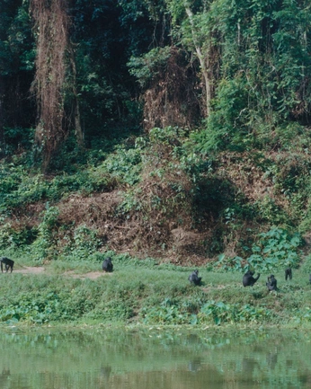 A cover of "Touch of Sound" cluster. The owner is anonamaya. The cluster consists of 12 elements.