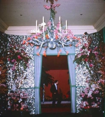 A cover of "Opulent, glitters" cluster. The owner is gingerbeer157. The cluster consists of 18 elements.