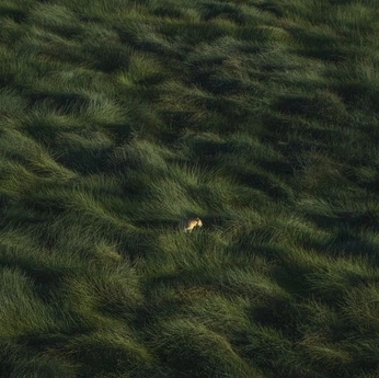 A cover of "Earth" cluster. The owner is tomteller. The cluster consists of 22 elements.