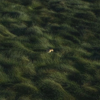 A cover of "?a rare unity¿" cluster. The owner is rosheai. The cluster description is "the essence of the earth". The cluster consists of 39 elements.