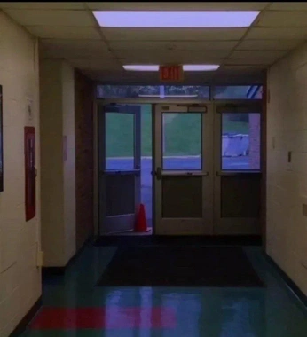 A cover of "LIMINAL GARBAGE" cluster. The owner is flakywallpaint. The cluster consists of 2 elements.