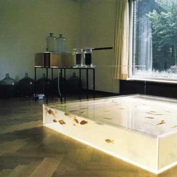 A cover of "𝑏𝑎𝑐𝑘𝑟𝑜𝑜𝑚𝑠．" cluster. The owner is theseeress. The cluster consists of 206 elements.