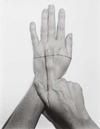 A cover of "hands" cluster. The owner is peichen13. The cluster consists of 2 elements.