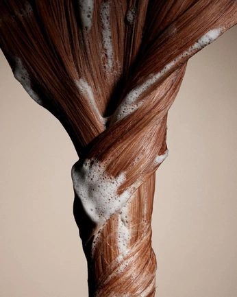 A cover of "Hair" cluster. The owner is newatlas. The cluster consists of 18 elements.