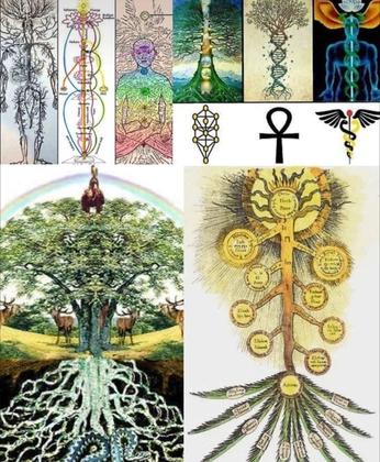 A cover of "Femmacopeia" cluster. The owner is nsmyth. The cluster consists of 5 elements.