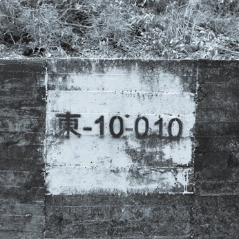 A cover of "摄影" cluster. The owner is kururuallen. The cluster consists of 23 elements.