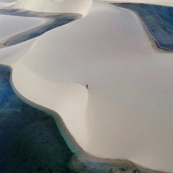 A cover of "see" cluster. The owner is miya.jay. The cluster consists of 13 elements.