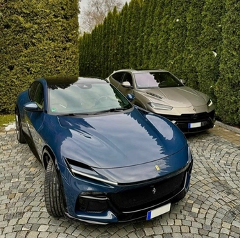 A cover of "simply hedges" cluster. The owner is brkzzzzzzzz. The cluster consists of 2 elements.