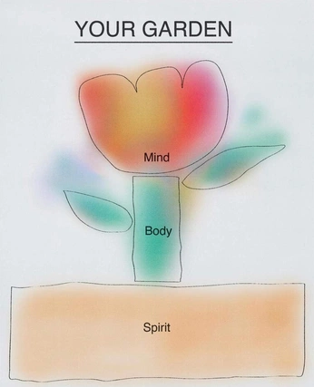 A cover of "somatic" cluster. The owner is sundropsoma. The cluster consists of 4 elements.