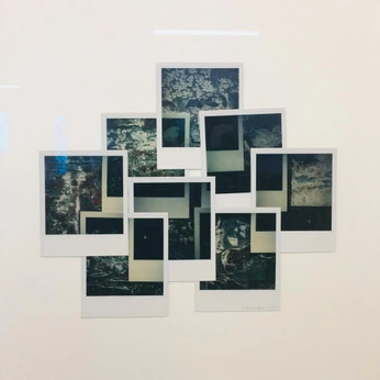 A cover of "photography" cluster. The owner is natureseye. The cluster consists of 41 elements.