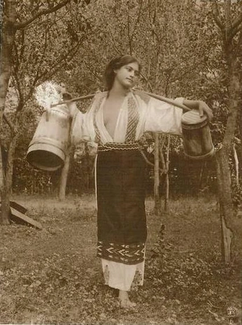 A cover of "BRAND" cluster. The owner is fizz.anastasiou. The cluster consists of 243 elements.