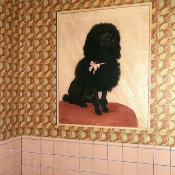 A cover of "river styx" cluster. The owner is quiltdowry. The cluster consists of 62 elements.