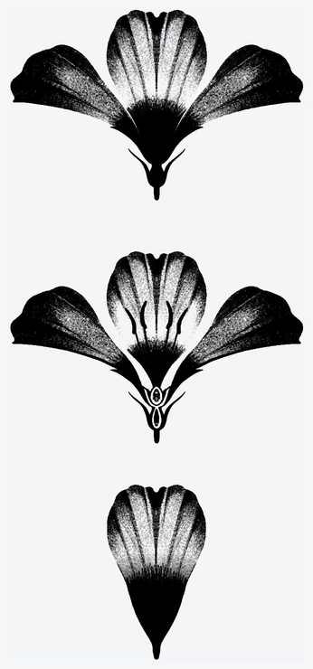 A cover of "My Taste" cluster. The owner is seeusoon. The cluster consists of 8 elements.