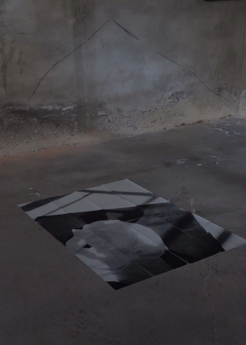 A cover of "Concept" cluster. The owner is margotta. The cluster consists of 6 elements.