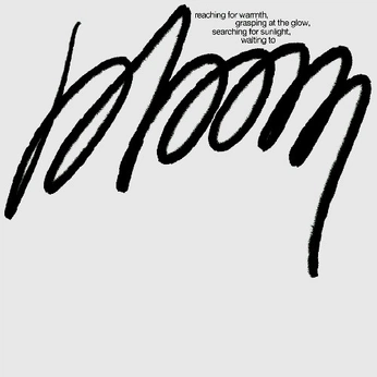 A cover of "words" cluster. The owner is megsworld. The cluster consists of 26 elements.