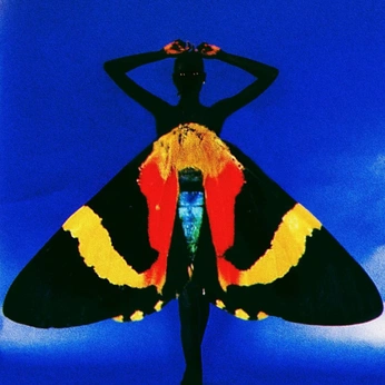 A cover of "Buggys" cluster. The owner is nina.bruggemans. The cluster consists of 1 element.