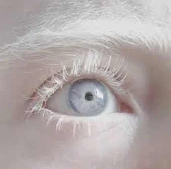 A cover of "e" cluster. The owner is rosieposi11. The cluster consists of 41 elements.