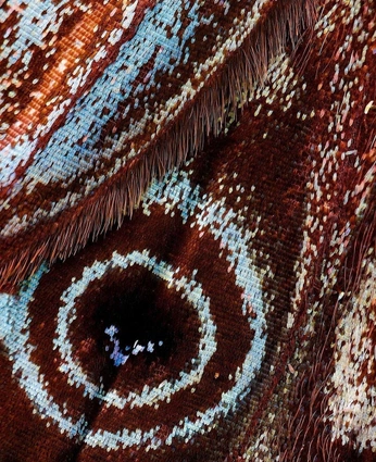 A cover of "Nature Inspired Patterns" cluster. The owner is acommonname. The cluster consists of 4 elements.