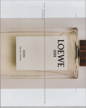 A cover of "Layout" cluster. The owner is shonalee. The cluster consists of 15 elements.