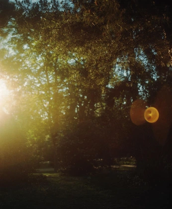 A cover of "Moodboard-Light" cluster. The owner is imnotmariam. The cluster consists of 11 elements.