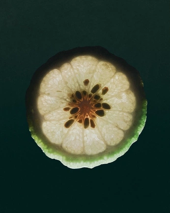 A cover of "Knorr" cluster. The owner is lejo.media. The cluster consists of 32 elements.