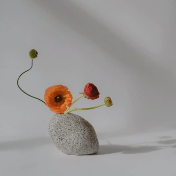 A cover of "hot pot" cluster. The owner is houseofmasa. The cluster consists of 27 elements.