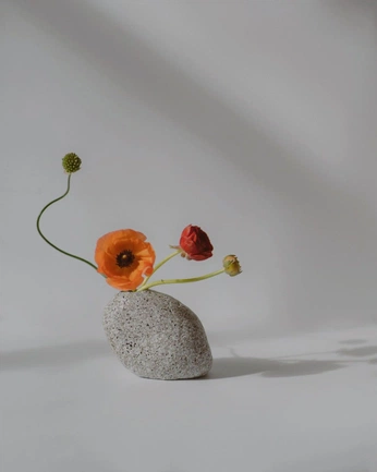 A cover of "Flower Arrangements" cluster. The owner is strahinja. The cluster consists of 3 elements.