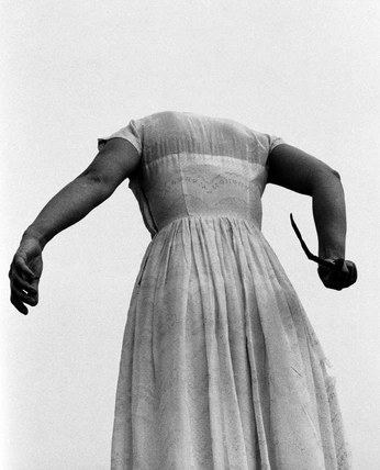 A cover of "Seer of earths" cluster. The owner is zoiegrace. The cluster consists of 1 element.