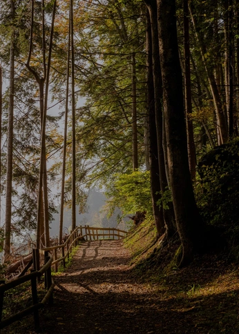 A cover of "welcome to earf" cluster. The owner is jazlovesjerry. The cluster consists of 23 elements.