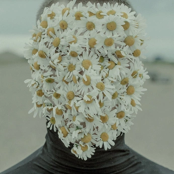 A cover of "Everbloom" cluster. The owner is billelis. The cluster consists of 36 elements.