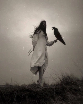 A cover of "banshees moodboard" cluster. The owner is teathefae. The cluster consists of 18 elements.