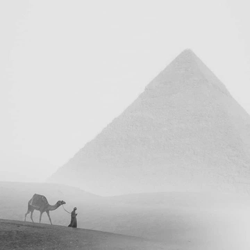 Cover of Ancient Earth cluster