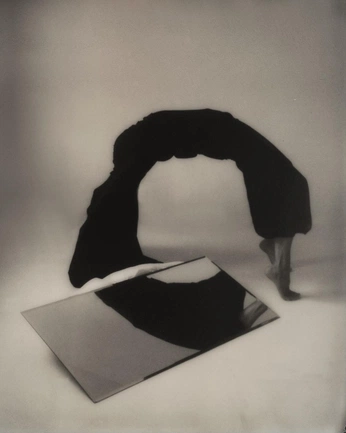 A cover of "LAMPOON" cluster. The owner is chiara.t. The cluster consists of 31 elements.