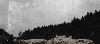 A cover of "sections" cluster. The owner is ileris. The cluster consists of 35 elements.