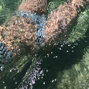 A cover of "MYKONOS" cluster. The owner is borbala. The cluster consists of 16 elements.