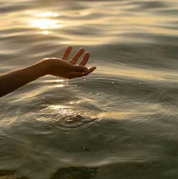 A cover of "photo" cluster. The owner is wangwang. The cluster consists of 8 elements.