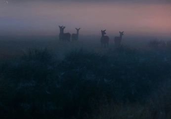 A cover of "alessio saracino" cluster. The owner is juiceyborger. The cluster consists of 24 elements.