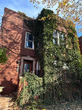 A cover of "chicago" cluster. The owner is amandaecreates. The cluster consists of 10 elements.