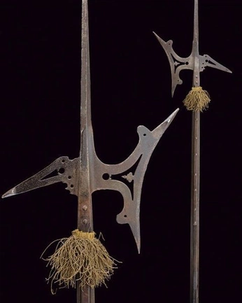 A cover of "polearms" cluster. The owner is crispuga. The cluster consists of 2 elements.