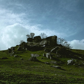 A cover of "ENVIRONEMENT" cluster. The owner is hslln. The cluster consists of 41 elements.