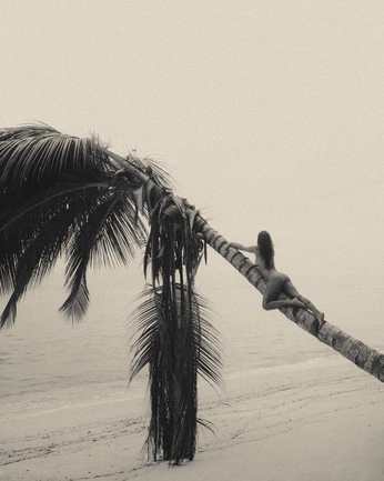 A cover of "2014 tumblr" cluster. The owner is ginavalente. The cluster consists of 2 elements.