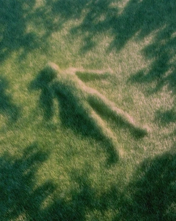 A cover of "grass impressions" cluster. The owner is mikey120. The cluster consists of 3 elements.