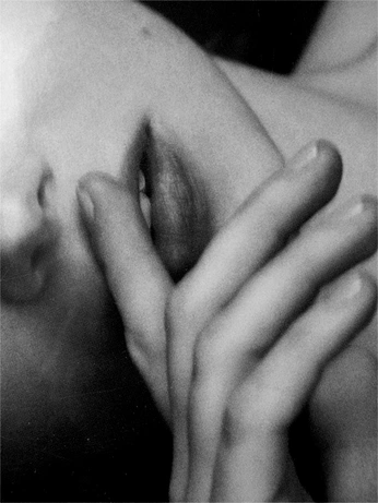 A cover of "beau" cluster. The owner is gretaaa.mb. The cluster consists of 1 element.