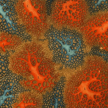 A cover of "Coral reefs" cluster. The owner is leajv. The cluster consists of 28 elements.