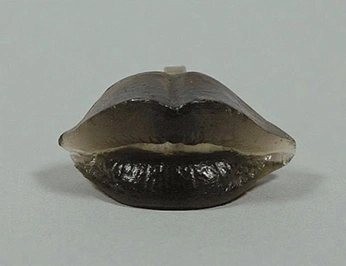 A cover of "Louco" cluster. The owner is camilarivereto. The cluster consists of 2 elements.