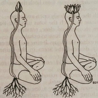 A cover of "tattoo" cluster. The owner is matchamai. The cluster consists of 2 elements.